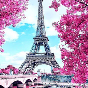 Meet your Posher, Daniela